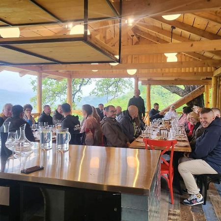 Sadmeli Winery Ξενοδοχείο Ambrolauri Εξωτερικό φωτογραφία