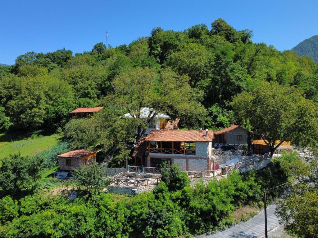Sadmeli Winery Ξενοδοχείο Ambrolauri Εξωτερικό φωτογραφία