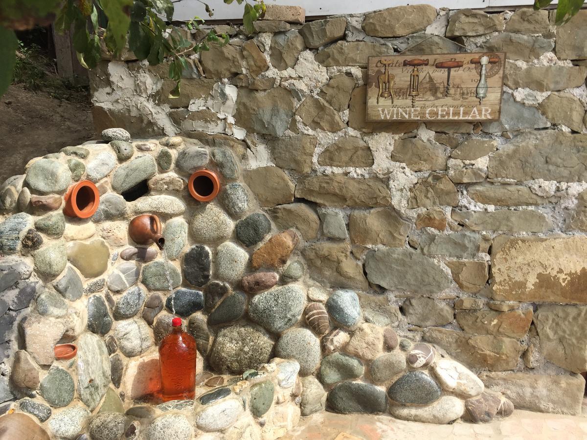 Sadmeli Winery Ξενοδοχείο Ambrolauri Εξωτερικό φωτογραφία
