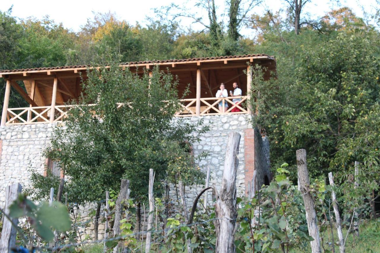 Sadmeli Winery Ξενοδοχείο Ambrolauri Εξωτερικό φωτογραφία